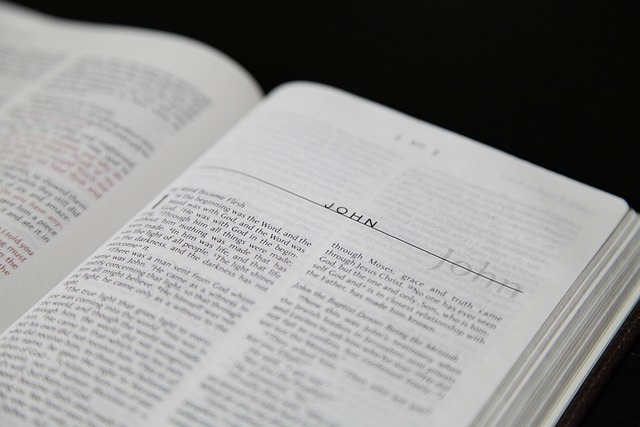 Journal through the Book of John